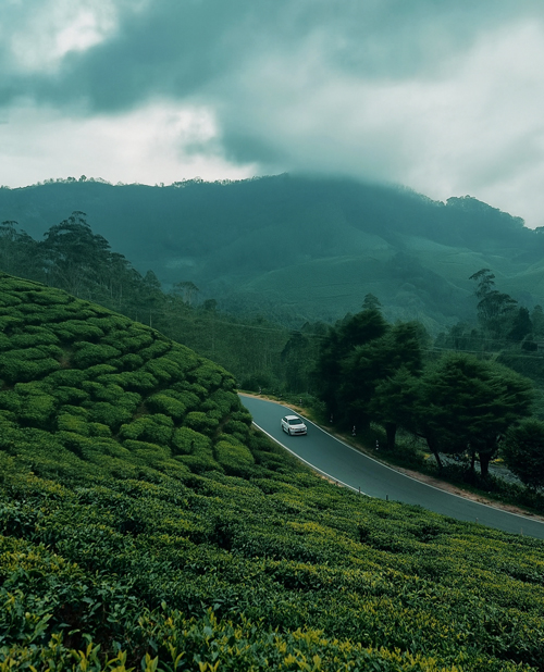 Vagamon pine forest sightseeing tour
