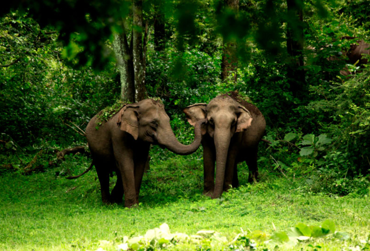 3 days Munnar Thekkady tour itinerary by taxi